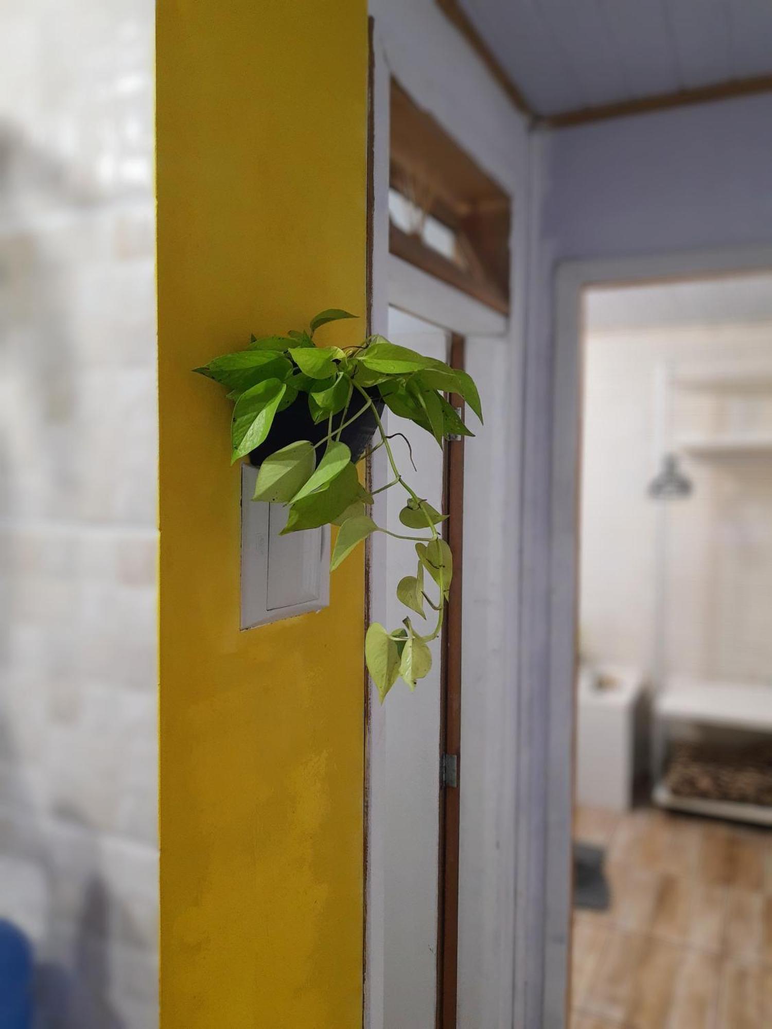 Townhousefloripa Ii Do Mocambique-riovermelho Chalet *